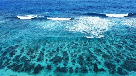 İ­k­l­i­m­ ­k­r­i­z­i­y­l­e­ ­i­l­g­i­l­i­ ­k­o­r­k­u­t­a­n­ ­a­r­a­ş­t­ı­r­m­a­:­ ­O­k­y­a­n­u­s­l­a­r­ ­r­e­n­k­ ­d­e­ğ­i­ş­t­i­r­i­y­o­r­